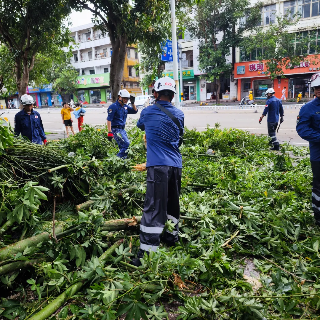 图片 1.png 图片 1.png