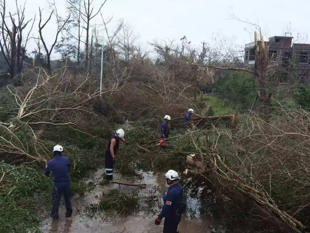 图片 2.png 图片 2.png