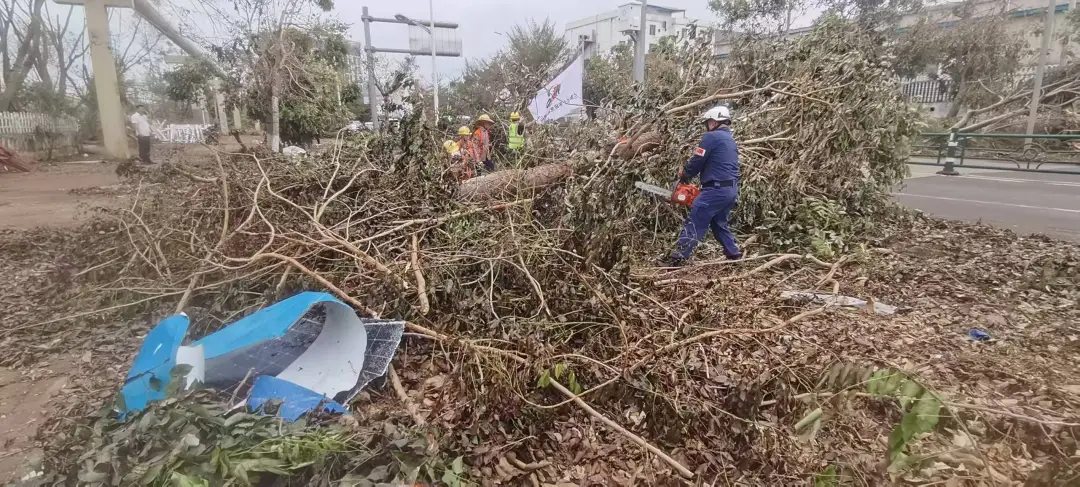 图片 2.png 图片 2.png