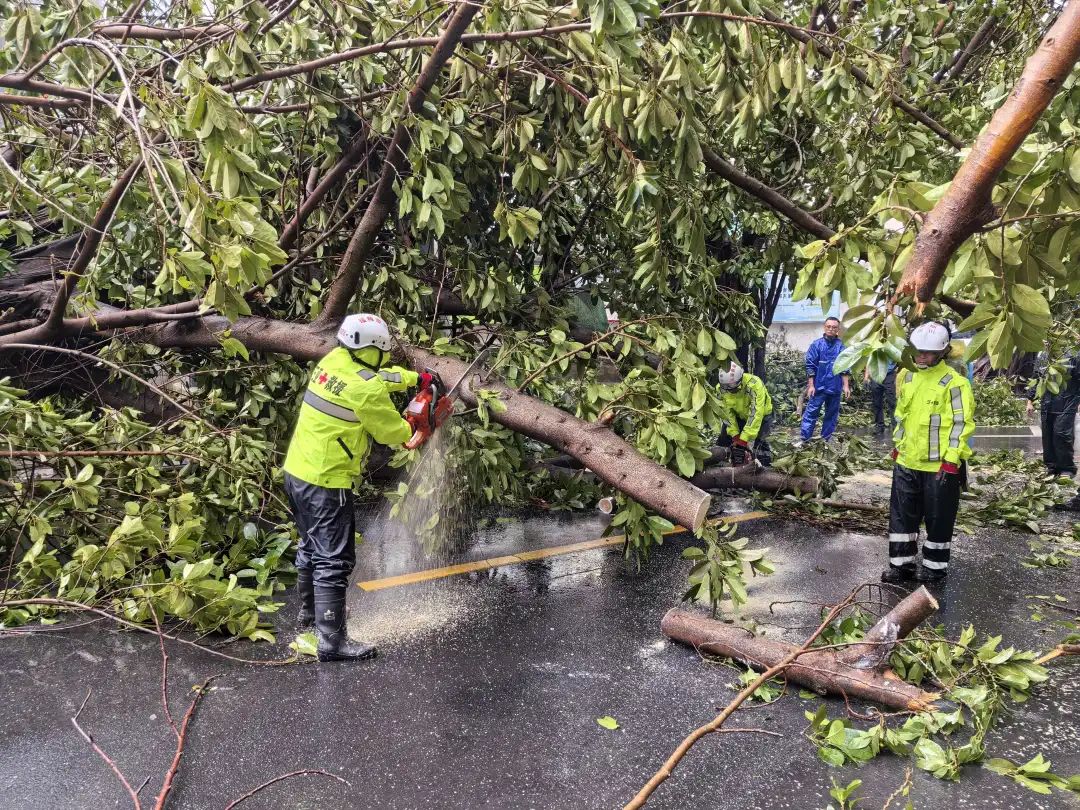 微信图片_2025-10-29_150638_369.jpg 微信图片_2025-10-29_150638_369.jpg