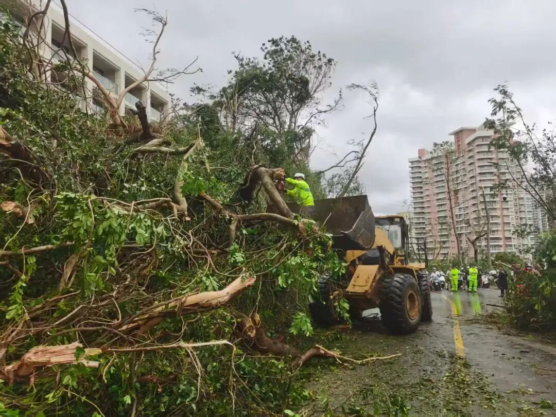 微信图片_2025-10-29_150652_313.jpg 微信图片_2025-10-29_150652_313.jpg