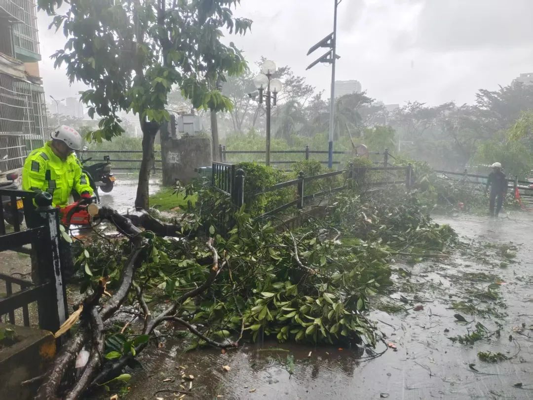 微信图片_2025-10-29_150657_840.jpg 微信图片_2025-10-29_150657_840.jpg